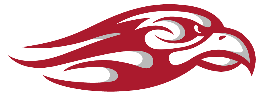 Liberty Flames 2013-Pres Secondary Logo v2 diy iron on heat transfer